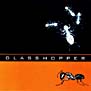 . . . glasshopper . . .